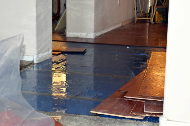 Professional Burst Pipe Cleanup technician working in Sparta, OH